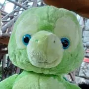 maimaiの画像