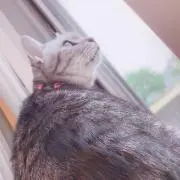 としとし