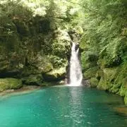 mmの画像