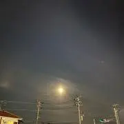 Rの画像