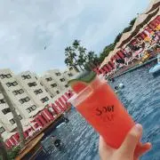 e.の画像