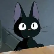 zizi