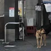 ☆外飼☆の画像