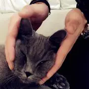 りり