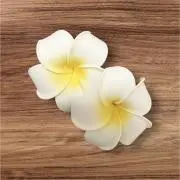 ☆PluM☆お値引き交渉OK♪の画像