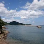 竹やぶの画像