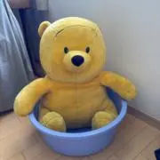 ゆうはの画像