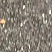 しぃの画像