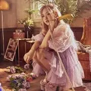 Cheaの画像