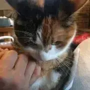 なお
