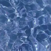 Seaの画像