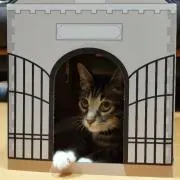しまの画像