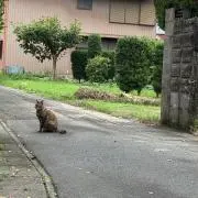 こーへー