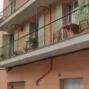 Luizの画像