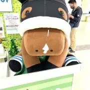 みぃの画像