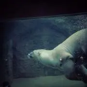 うーたん