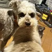 あーたんの画像