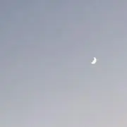みゅの画像