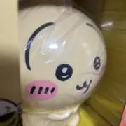 うさぎの画像