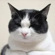 ソンチョ。
