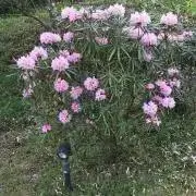 しゅうやん(^^)/の画像