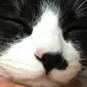 くうぽこ