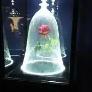 watの画像