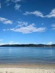 ていていの画像