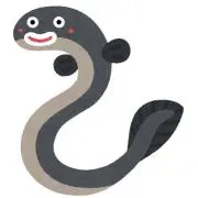 穴子 値下げ対応していますの画像