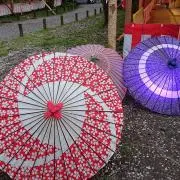 桜(即購入ＯＫ お値引き交渉不可)の画像
