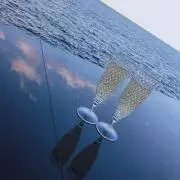 たぬの画像