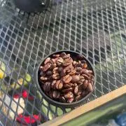 たわし