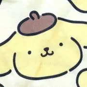 【特別セール！まとめ買い大歓迎】たぬきの画像