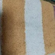 non　non　プロフ必読！の画像