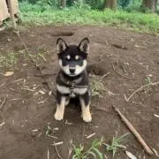 ナリタロウ
