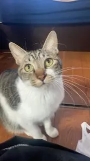 ぷるやの画像