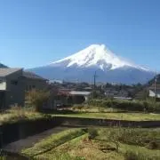 ピケの画像