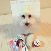 michitonohiの画像