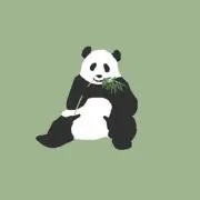 びーの画像