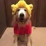 puuuの画像