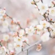 にあ【購入前プロフ必読】の画像