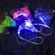 イルカ