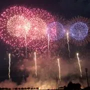 べびまりの画像
