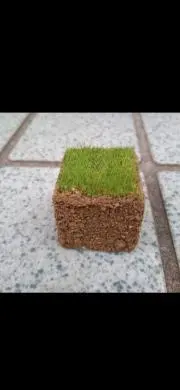 ななしの画像