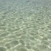 処分中の画像