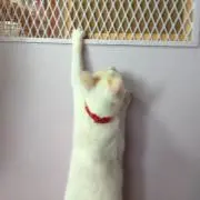 澪