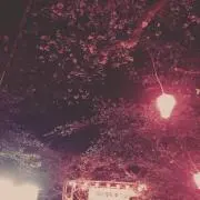 nnnnnの画像