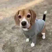 じゅりの画像