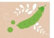 豆やっこ