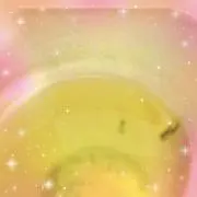 ＊すずらん＊の画像